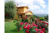B&b Villa Oliveto