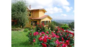 B&b Villa Oliveto