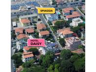 B&b Daisy