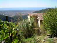 B&b Il Paradiso in Versilia