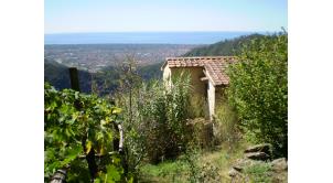 B&b Il Paradiso in Versilia