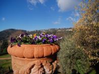 B&b La Conca di Sopra
