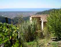 Il Paradiso in Versilia