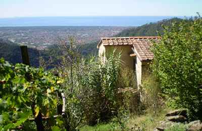 Il Paradiso in Versilia